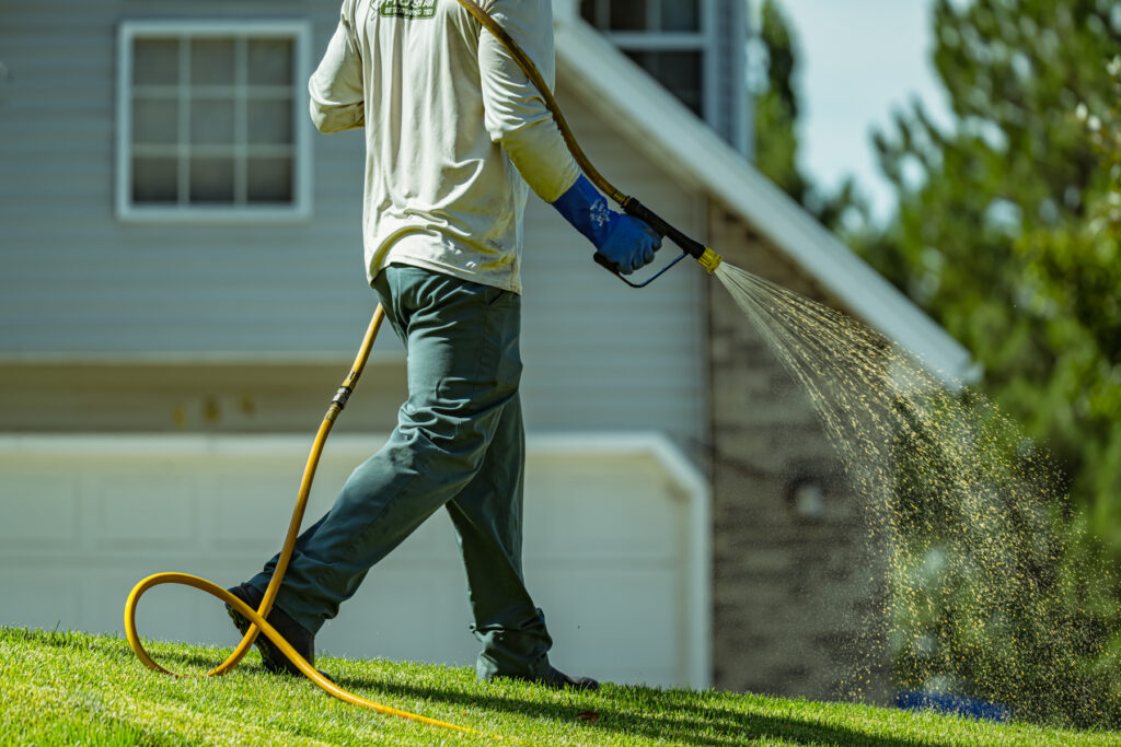 Technician applies fertilizer service and weed control with hose sprayer on residential lawn in Davis County Utah during spring growth.