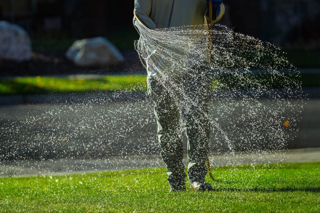 Technician applies granular treatment across a green lawn, part of fertilizer service and pre emergent timing for Davis County Utah yards.