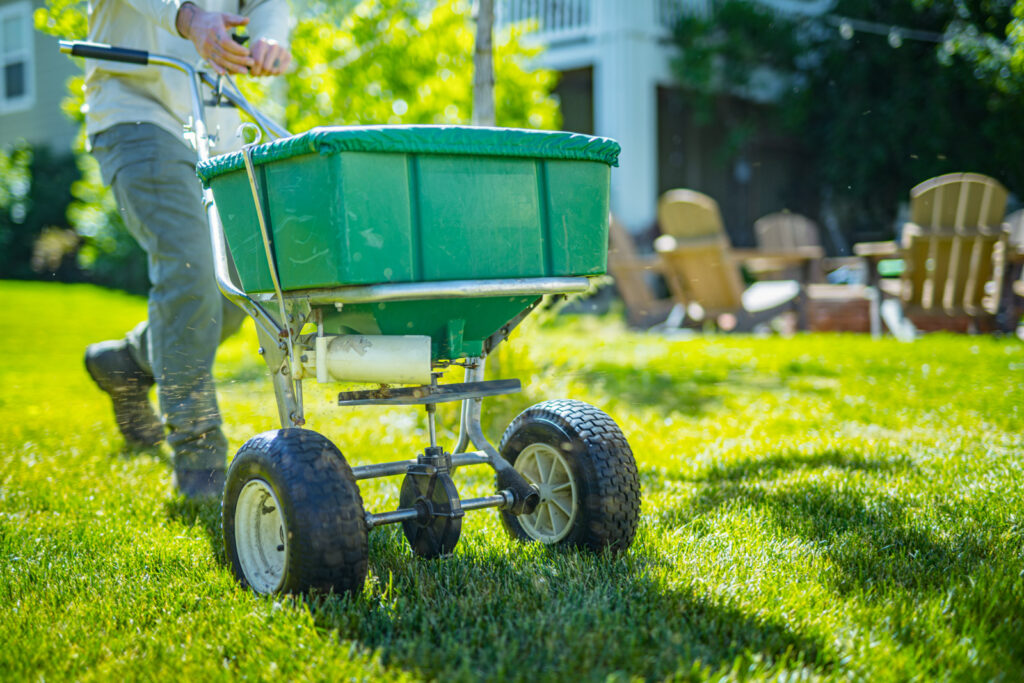 A person pushing a green broadcast spreader across a well-maintained lawn in a backyard setting.