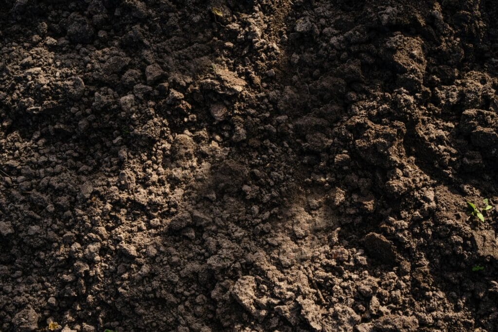 Rough textured brown soil surface with clumps and particles scattered across dark earth
