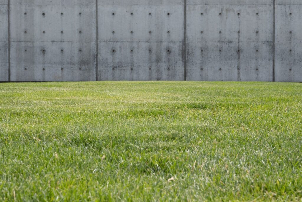Well-maintained green grass lawn in foreground with tall concrete wall featuring visible bolt holes in background.
