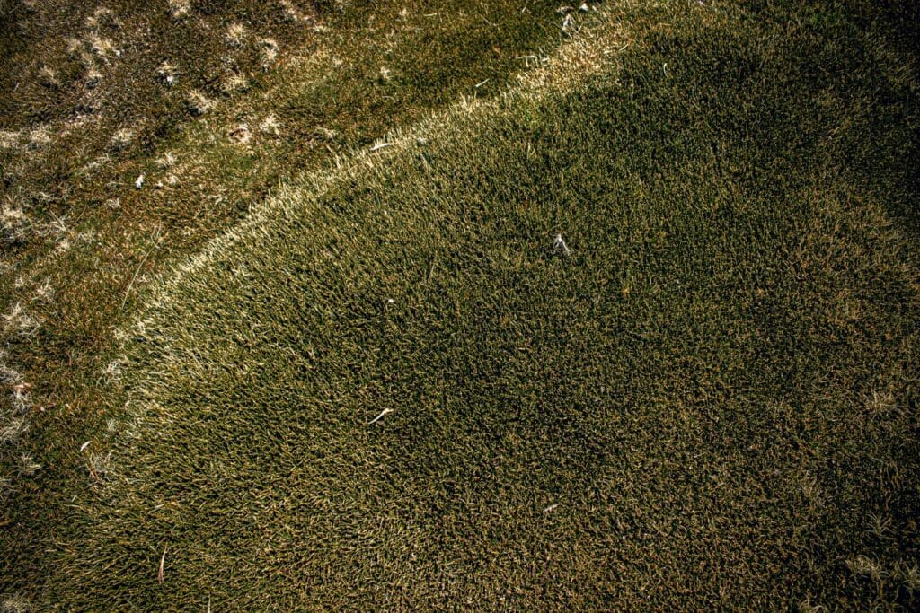 Aerial view of a lawn showing a curved boundary between dense green grass and a thin, patchy area with visible bare soil